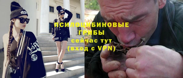 таблы Горняк