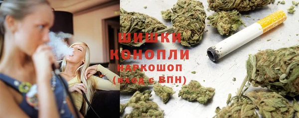 ГАЛЛЮЦИНОГЕННЫЕ ГРИБЫ Горно-Алтайск