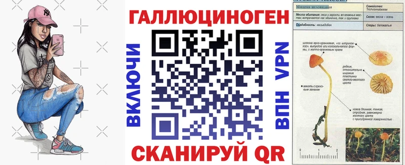 Купить  Курганинск  Галлюциногенные грибы Psilocybe 